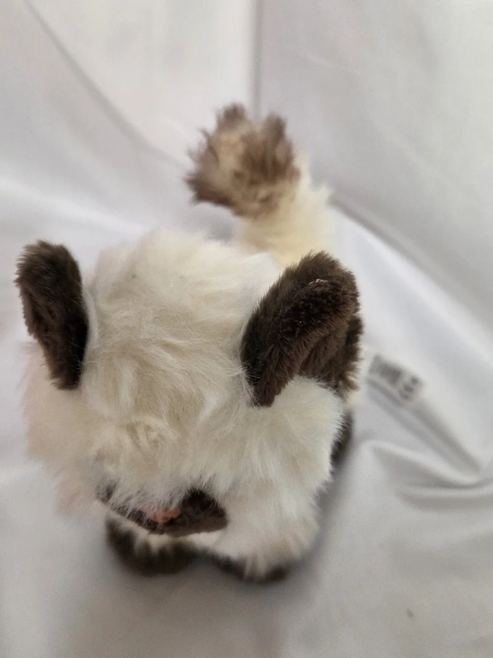 American Girl 5‎ inch Siamese Cat Poseable Marisol Himalayan Rascal Kitty